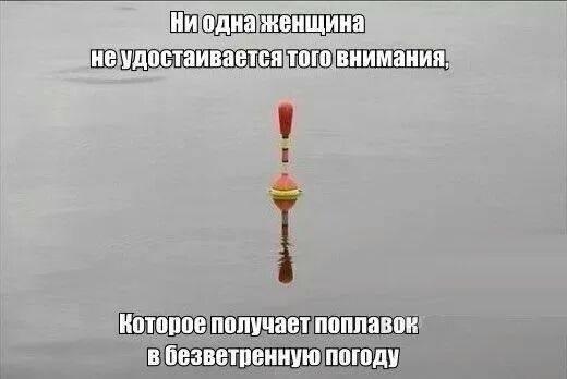 10509591_529816933822256_7152903109771698477_n.jpg