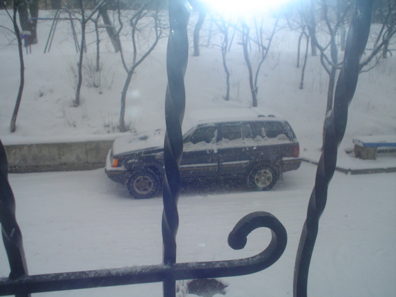 DSC01455.JPG