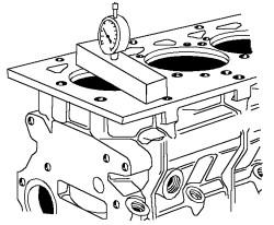 img19.jpg