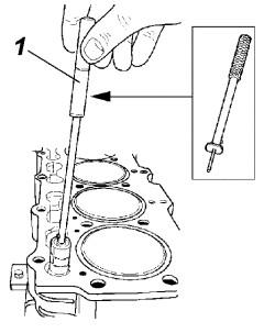 img1.jpg