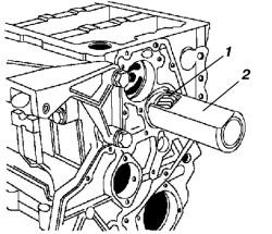 img2.jpg