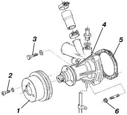 img31.jpg