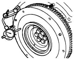 img8.jpg