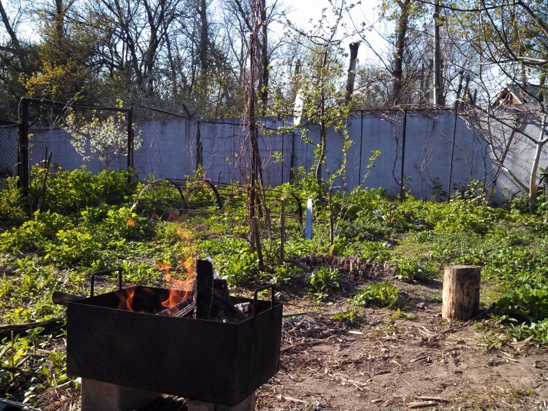IMG_20150426_172414.jpg