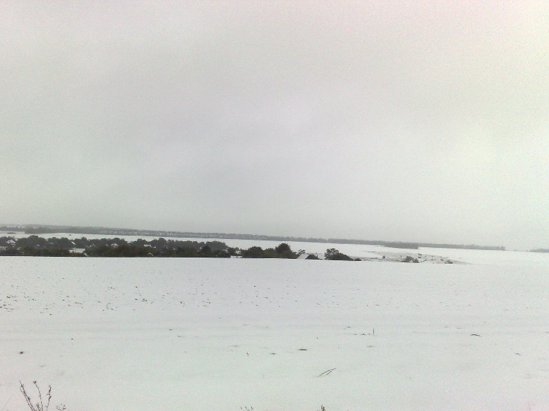 031020133983.jpg