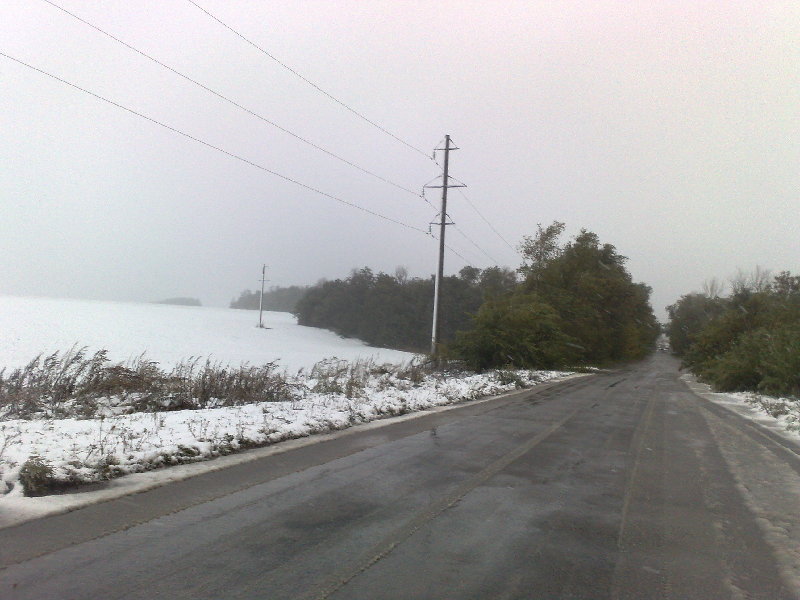 031020133987.jpg