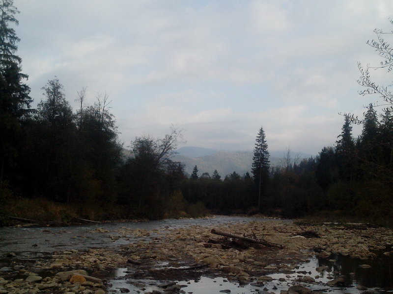IMG_20151009_162010.jpg