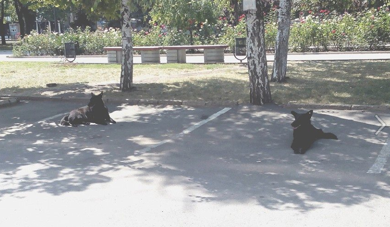 Снимок.PNG